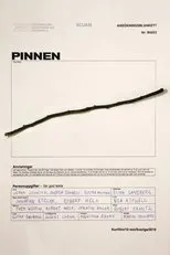 Póster de Pinnen