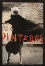 Póster de Pintadas