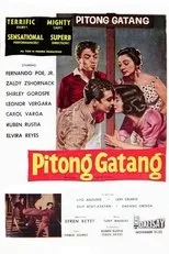 Póster de Pitong Gatang