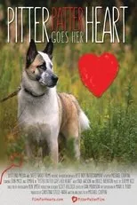 Póster de Pitter Patter Goes Her Heart