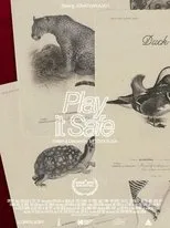 Póster de Play It Safe