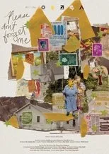 Póster de Please Don't Forget Me