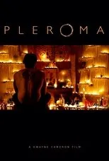 Póster de Pleroma