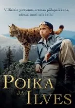 Póster de Poika ja ilves