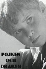 Póster de Pojken och draken