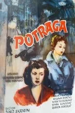 Póster de Potraga