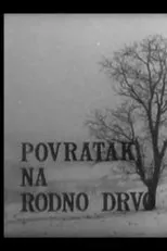 Póster de Povratak na rodno drvo