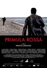 Póster de Primula Rossa