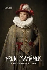 Póster de Princ Mamánek