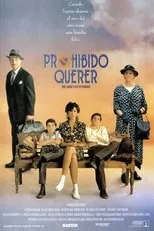 Póster de Prohibido querer