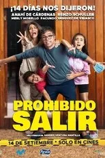 Póster de Prohibido salir