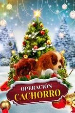 Póster de Project: Puppies for Christmas