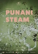 Póster de Punani Steam