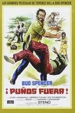 Póster de ¡Puños fuera!