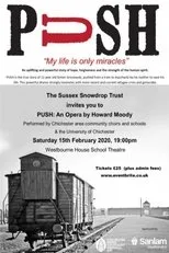 Póster de Push - Moody