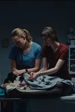 Póster de Put To Sleep