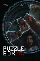 Póster de Puzzle Box