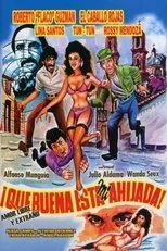 Póster de ¡Qué buena está mi ahijada!