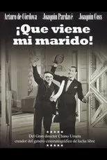 Póster de ¡Que viene mi marido!