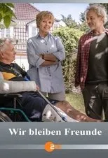 Póster de Quedamos como amigos