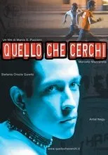 Póster de Quello che cerchi
