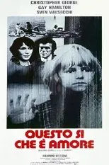 Póster de Questo sì che è amore