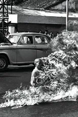 Póster de Rage Against The Machine - XX