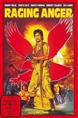 Póster de Raging Anger