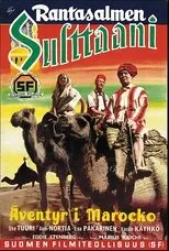 Póster de Rantasalmen sulttaani