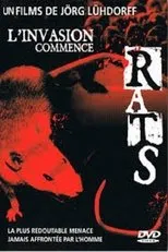 Póster de Ratas