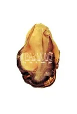 Póster de Raymond