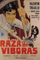 Póster de Raza de viboras
