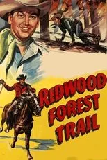 Póster de Redwood Forest Trail