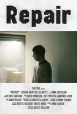 Póster de Repair