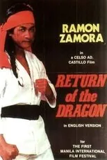 Póster de Return of the Dragon