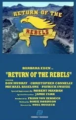 Póster de Return of the Rebels