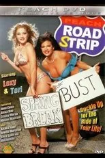 Póster de Road Strip