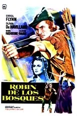 Póster de Robin de los bosques