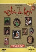 Póster de Robin des Bois d'à peu près Alexandre Dumas