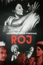 Póster de Roj