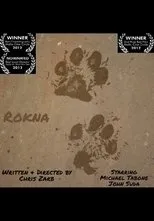 Póster de Rokna