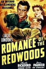 Póster de Romance of the Redwoods