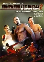 Póster de Rompiendo las reglas 2: El golpe final