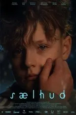 Póster de Sælhud