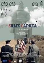 Póster de Salix Caprea