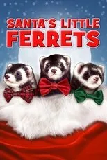 Póster de Santa's Little Ferrets