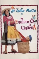 Póster de Se equivocó la cigüeña