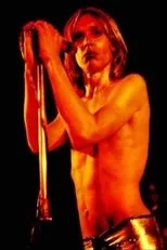 Póster de Search and Destroy: Iggy & The Stooges' Raw Power