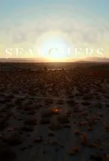 Póster de Searchers