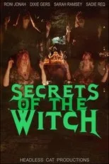 Póster de Secrets of the Witch